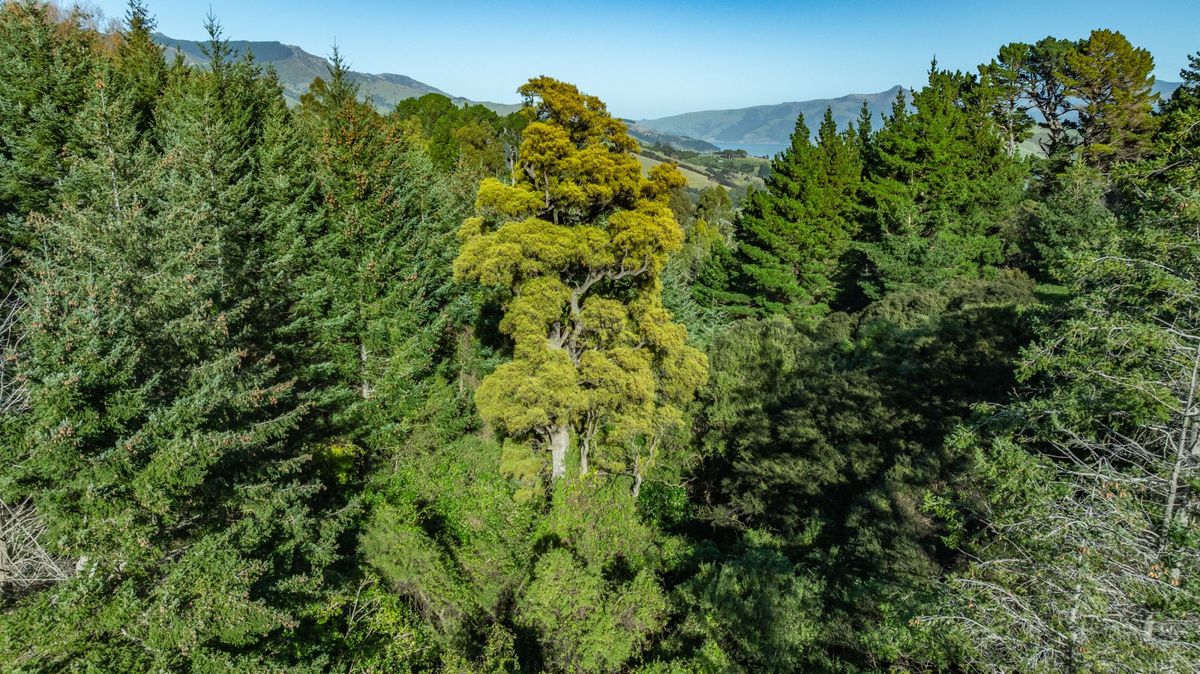 Takamatua landbank-development opportunity - Mehr