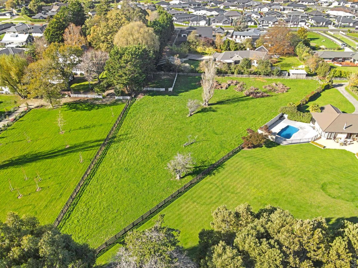 4067 m² flat land in Friendly Feilding - Widok 6