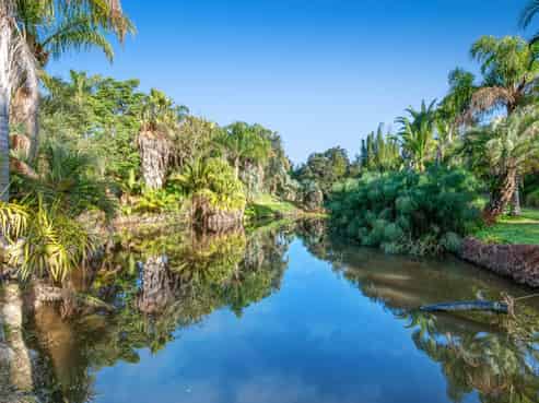 257 Pine Valley Road, Dairy Flat