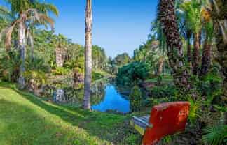 257 Pine Valley Road, Dairy Flat