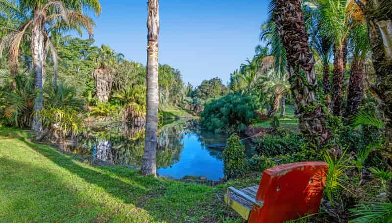 257 Pine Valley Road, Dairy Flat
