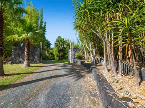 257 Pine Valley Road, Dairy Flat