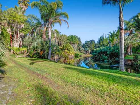 257 Pine Valley Road, Dairy Flat