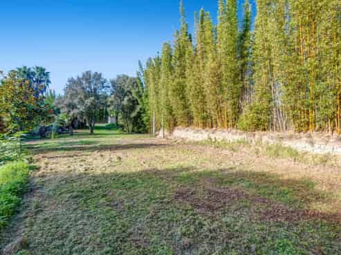 257 Pine Valley Road, Dairy Flat