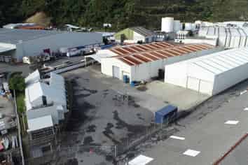 Flexibility on Hutt Park Road