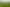Freehold Industrial Land with Profile