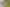 69 Jickell Street, Hokowhitu