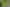 1A Melrose Avenue, Owhata