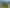 Kaikoura coastal investment