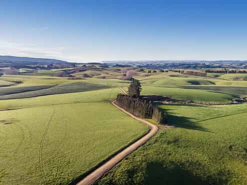 41 Manuka Road, 191 Benny Road, 160 Chapman Road, Rongahere