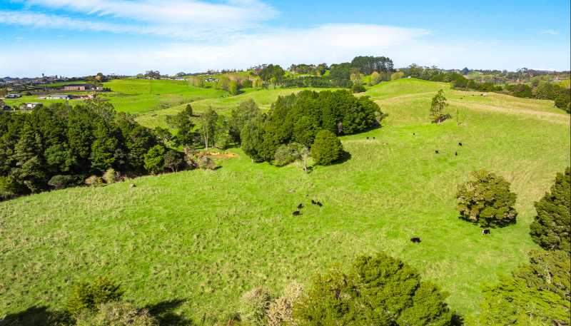 127 Woodcocks Road, Warkworth