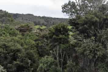 Sheffield Road, Kaukapakapa