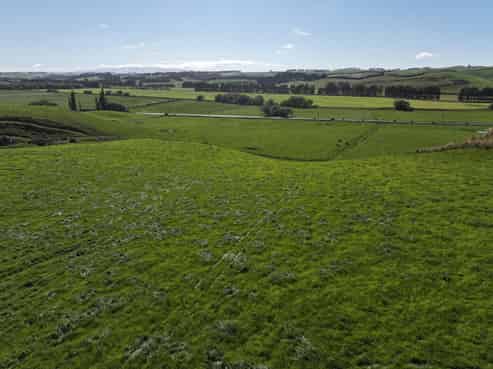 187 Waikaka Valley Highway, Gore Surrounds