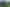 Auckland - Address withheld