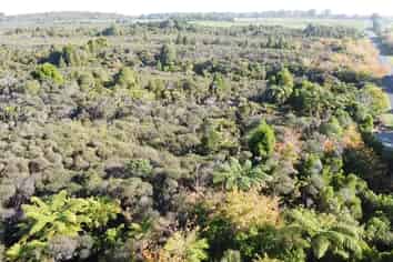 Lot 5 Wilsons Lead Road, Cape Foulwind