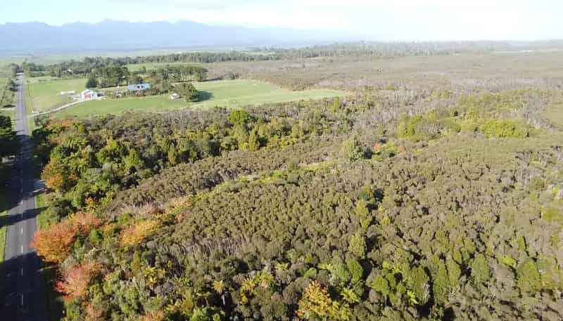 Lot 5 Wilsons Lead Road, Cape Foulwind