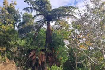 Lot 5 Wilsons Lead Road, Cape Foulwind