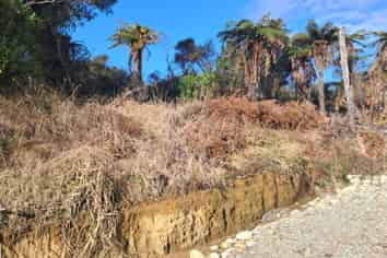 Lot 5 Wilsons Lead Road, Cape Foulwind