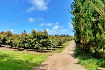 Lot 2 Elingamite Drive, Pukenui