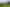 Wairarapa - Address withheld