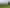 Wairarapa - Address withheld