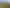 1785 Longbush Road, Gladstone