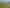 1785 Longbush Road, Gladstone