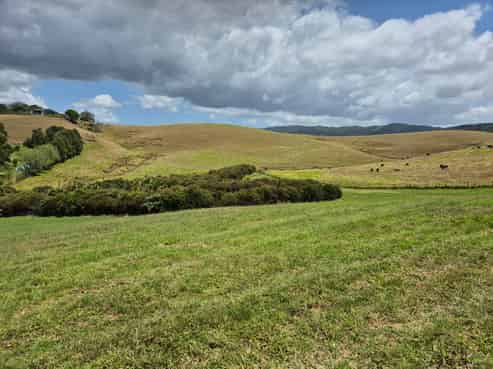 11 James Joseph Lane, Matakana