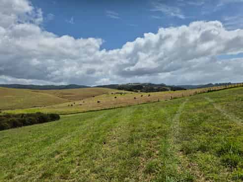 11 James Joseph Lane, Matakana