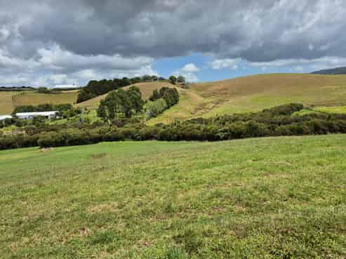11 James Joseph Lane, Matakana