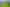 Tenanted by Manuka Health + Kiwifruit Orchard  
