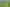 Tenanted by Manuka Health + Kiwifruit Orchard  
