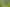 Tenanted by Manuka Health + Kiwifruit Orchard  
