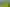 Tenanted by Manuka Health + Kiwifruit Orchard  
