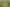Tenanted by Manuka Health + Kiwifruit Orchard  
