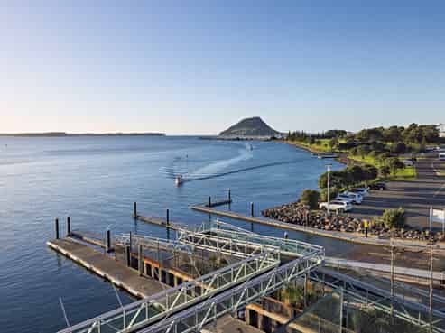303/50B Cross Road (The Nautilus), Tauranga Central