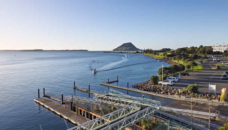 303/50B Cross Road (The Nautilus), Tauranga Central