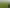 973 Fitzherbert East Road, Aokautere