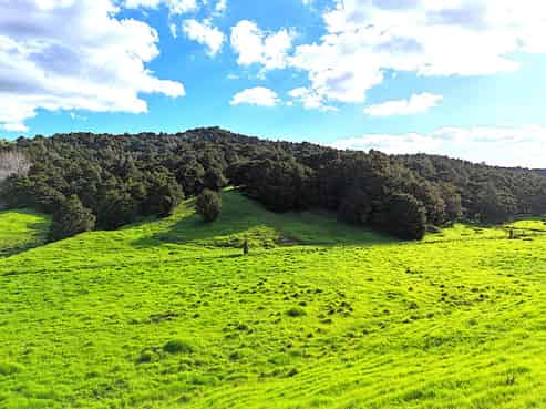  Ounuwhao Road, Dargaville