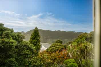 28W Bidwill Street, Mount Cook