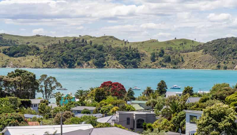 25e Violet Street, Raglan