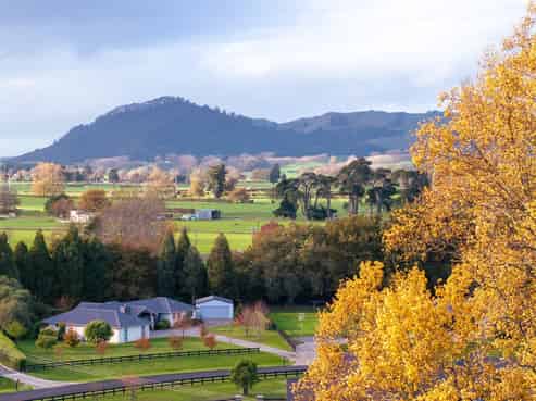 3 South Oaks Close, Tamahere
