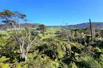  Wekaweka Road, Omapere