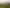 Northland - Address withheld