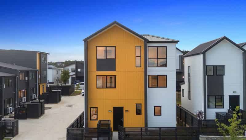 4 Hera Street, Flat Bush