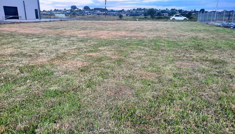 807 Bond Road, Te Awamutu