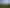 ** Ruru Downs, Putaruru