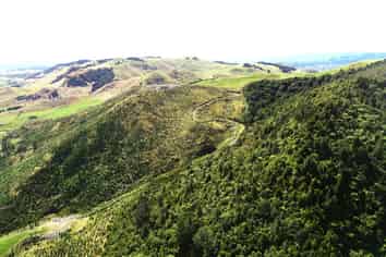  Wright Road, Te Aroha