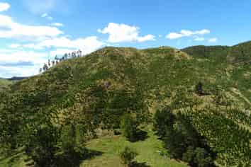  Wright Road, Te Aroha