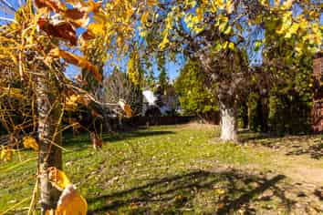 3A Monro Street, Blenheim